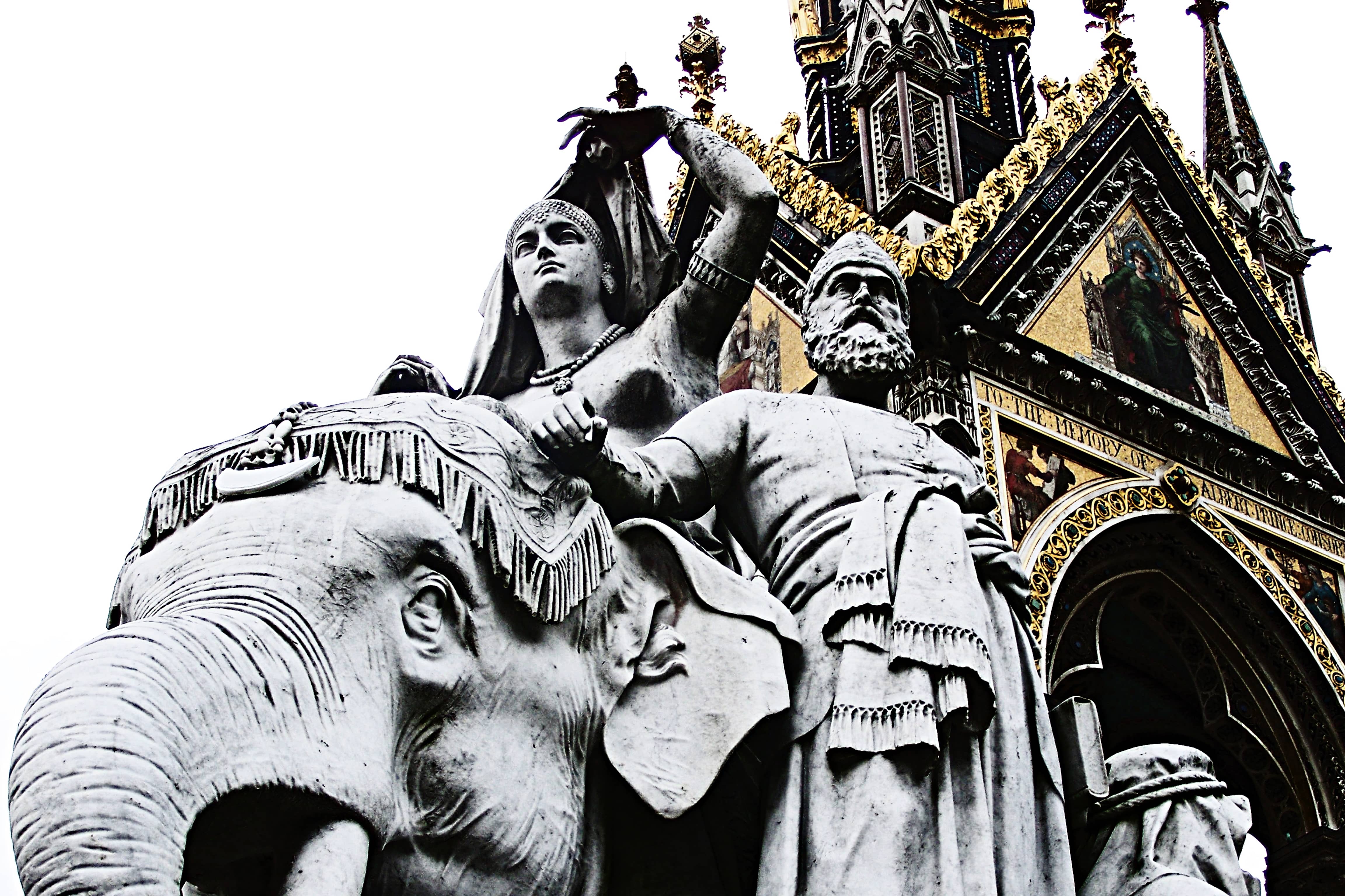 Mr.Photothug © - Elephant